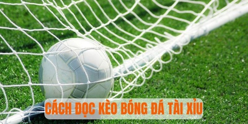 Chi tiết cách đọc kèo Tài Xỉu bóng đá chuẩn nhất