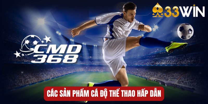 Một vài sản phẩm cá độ thể thao nổi trội