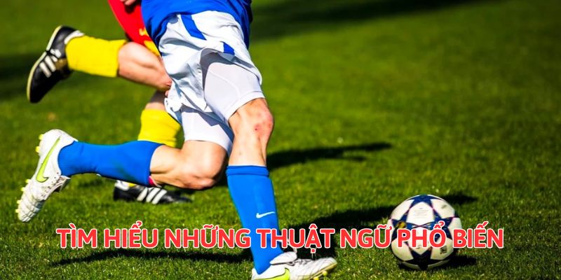 Tìm hiểu những từ ngữ phổ biến hay gặp trong quá trình trải nghiệm