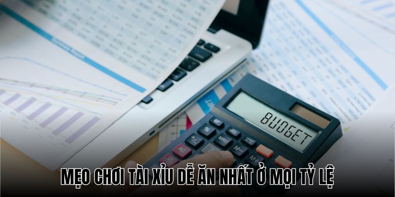 Tính toán tiền cược là mẹo hiệu quả nhất khi chơi tài xỉu mọi tỷ lệ